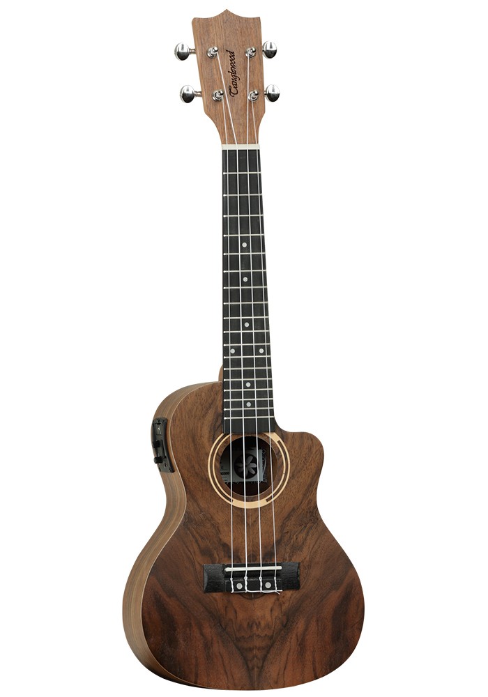 TANGLEWOOD - TWT21-E