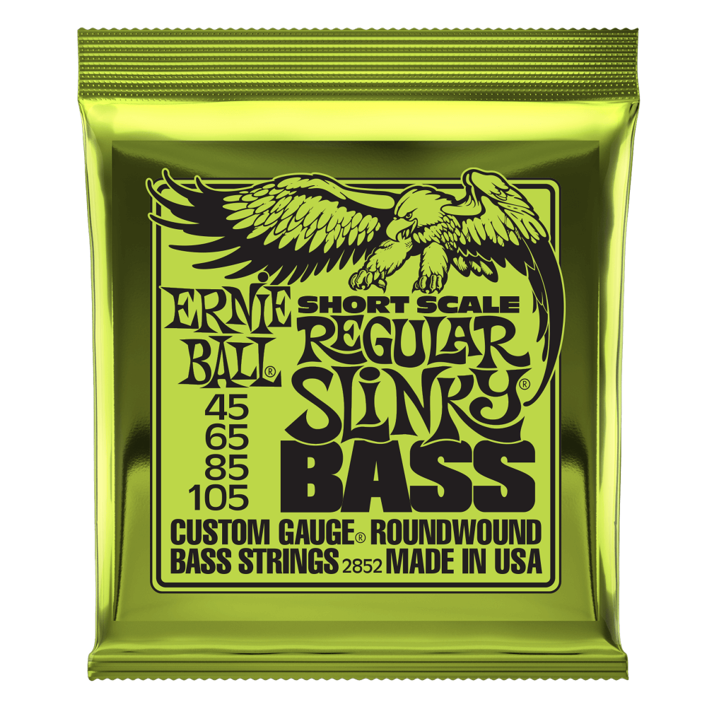 ERNIE BALL - Short Scale Regular Slinky 2852