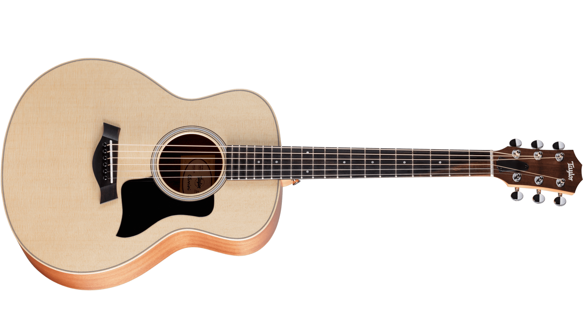 TAYLOR - GS Mini Sapele