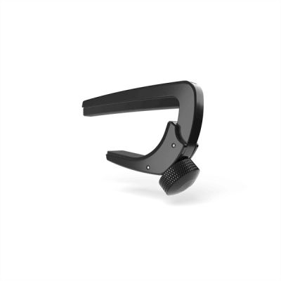 PLANET WAVES - NS Capo