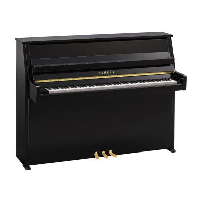 YAMAHA - B10 PE