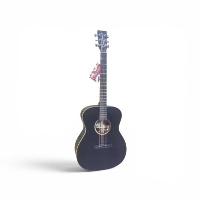 TANGLEWOOD - Blackbird TB3