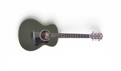 TAYLOR - GS Mini-e Special Edition Olive