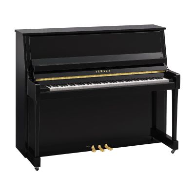 YAMAHA - B30 PE