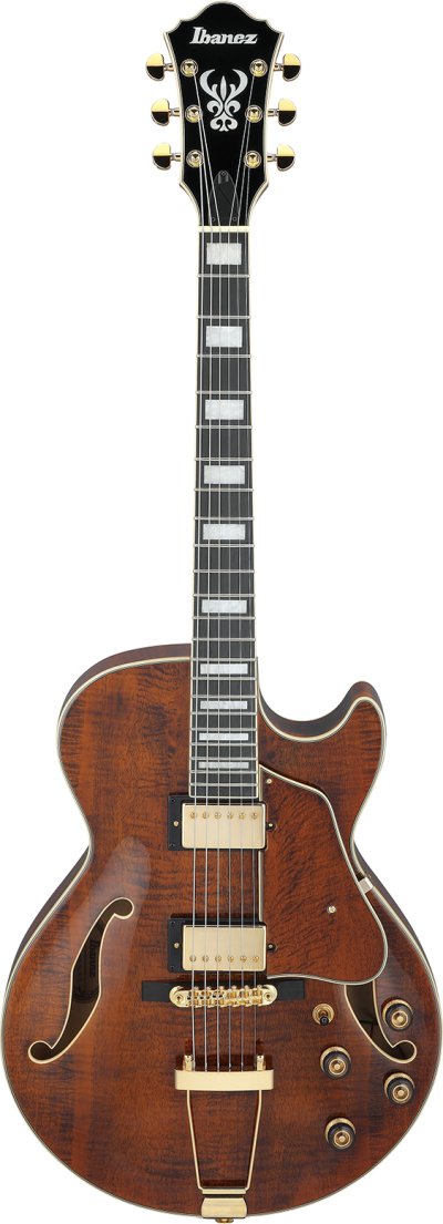 IBANEZ - AG95MG-DA