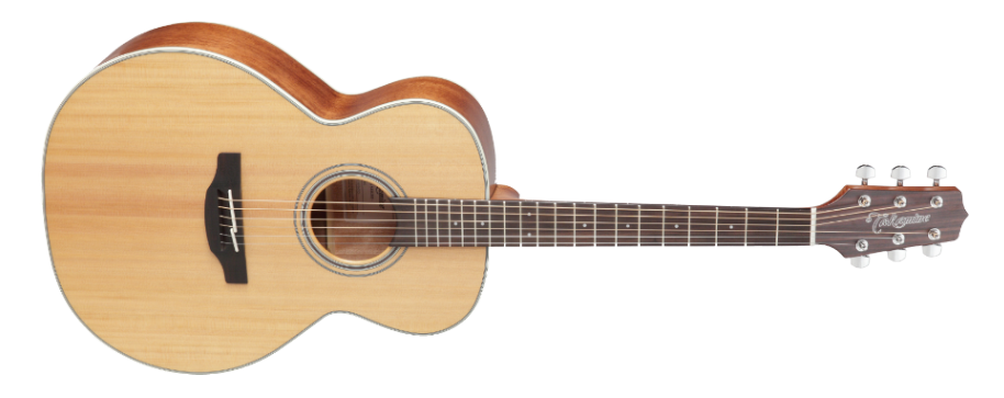 TAKAMINE - GN20NS